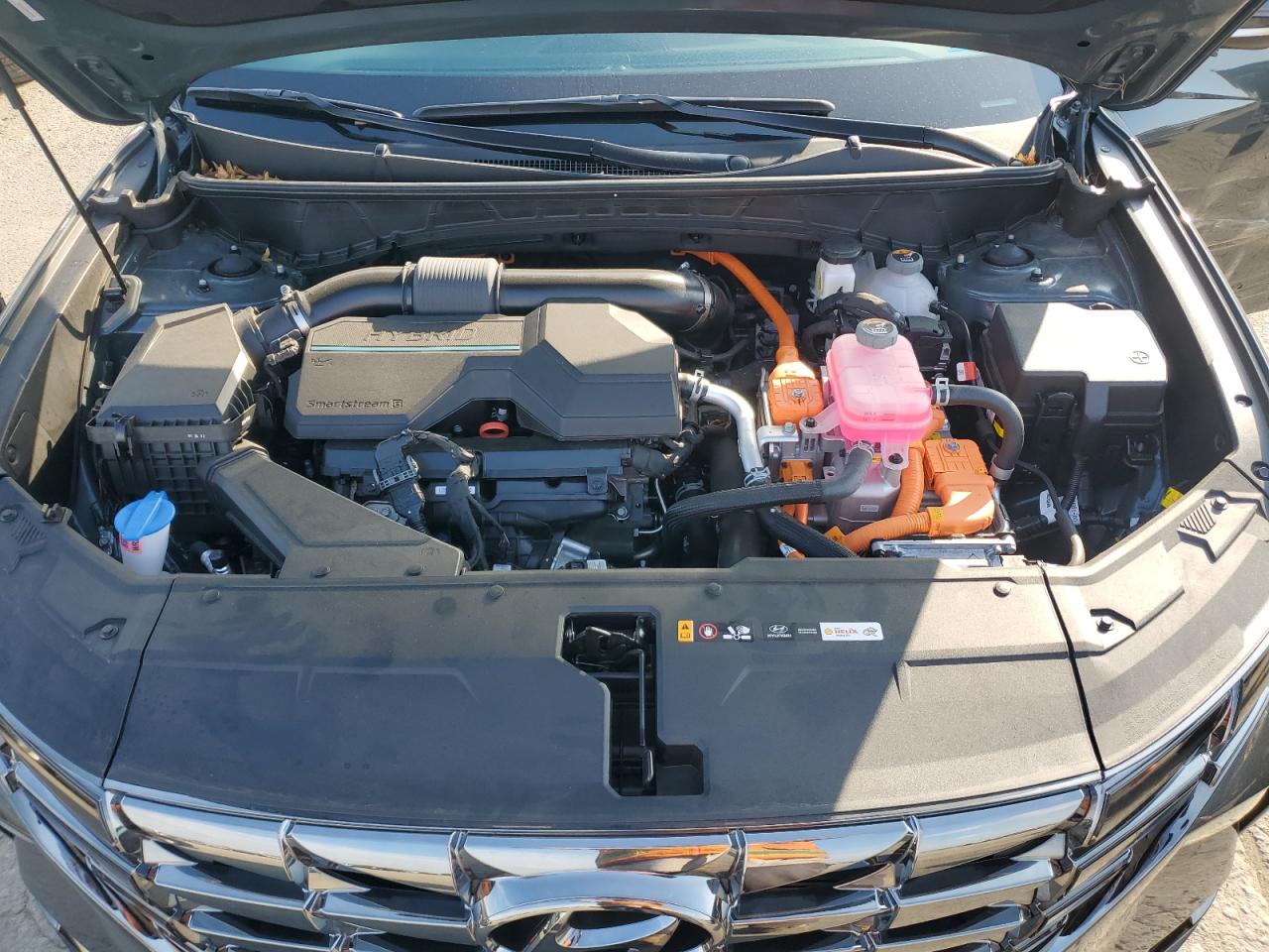 2024 Hyundai Tucson Limited VIN: KM8JECD10RU239060 Lot: 81494205