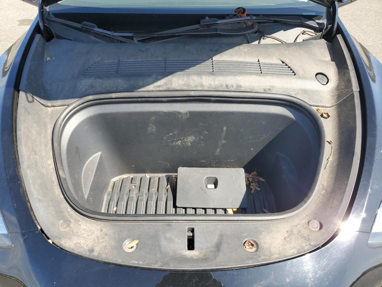 2023 Tesla Model Y VIN: 7SAYGDEEXPA052080 Lot: 80504715