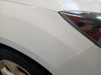 2013 FORD FOCUS ZETEC TURBO 1.0 ECOBOOST ZETEC 5DR for sale at Copart BELFAST