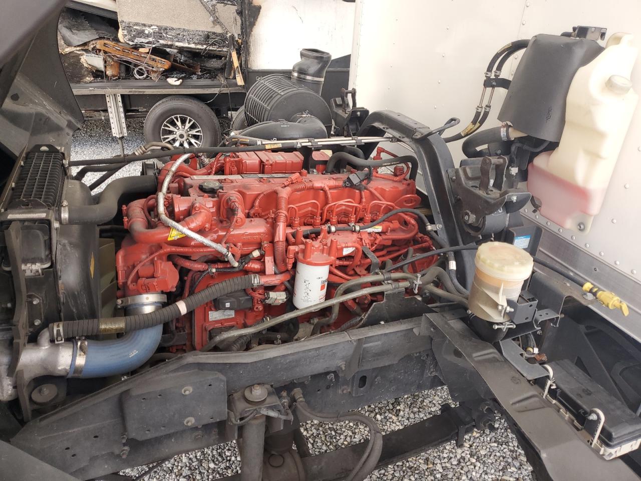 2023 Isuzu Ftr - Expeditor Truck VIN: 54DK6S1F2PSA51261 Lot: 81010005