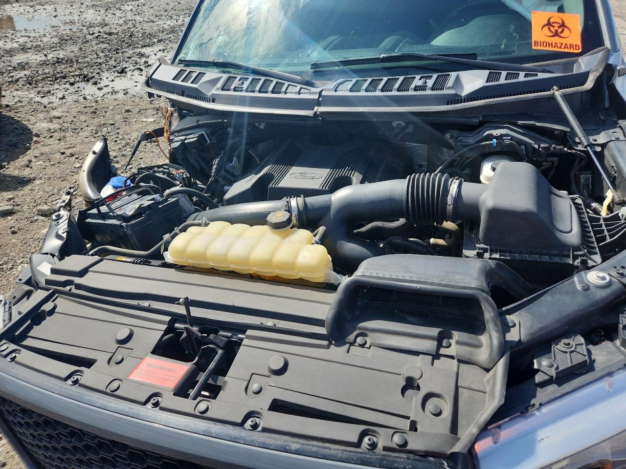 2019 Ford F150 Supercrew VIN: 1FTEW1E44KKD87598 Lot: 81712345