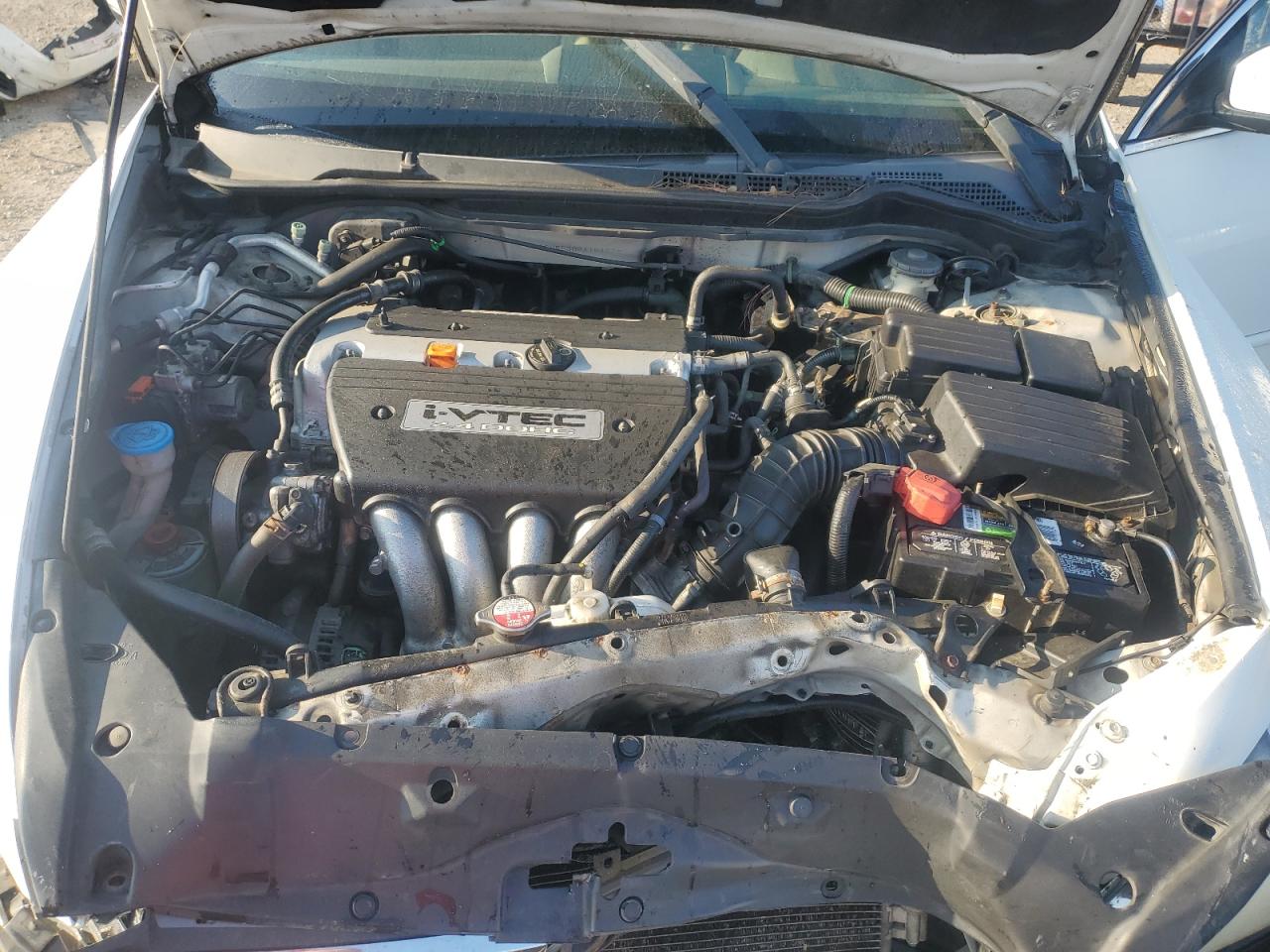 2006 Honda Accord Se VIN: 1HGCM55306A164628 Lot: 81406215