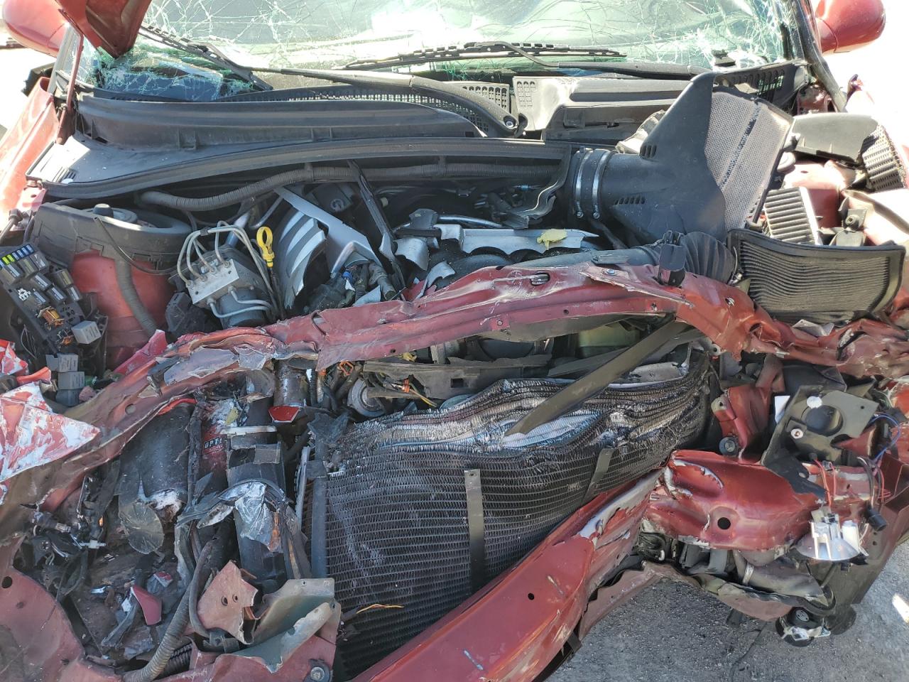 2006 Pontiac Gto VIN: 6G2VX12U66L557341 Lot: 82146525
