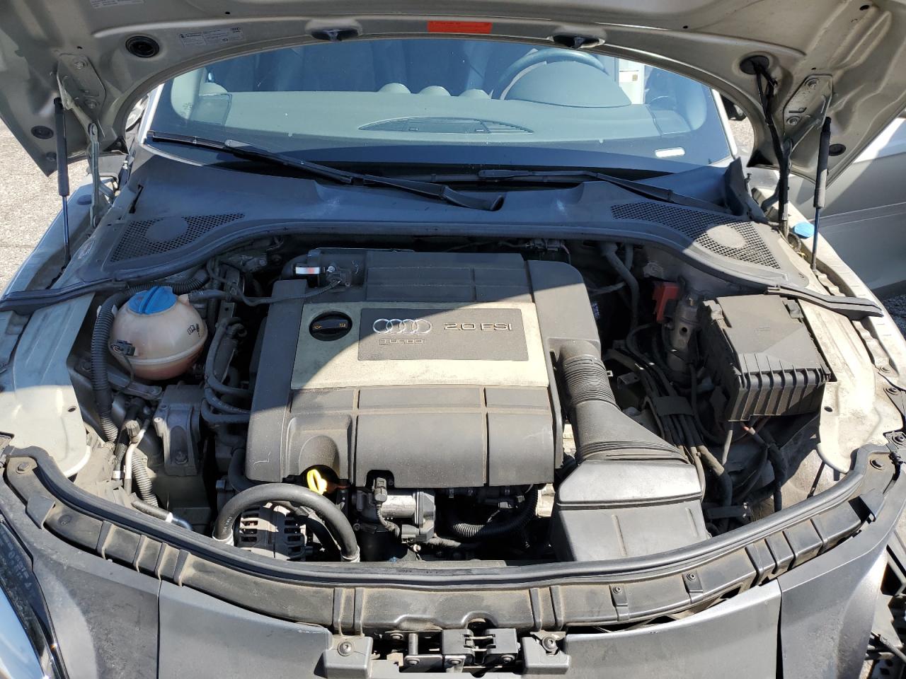 Фото: TRUMF38J591002063