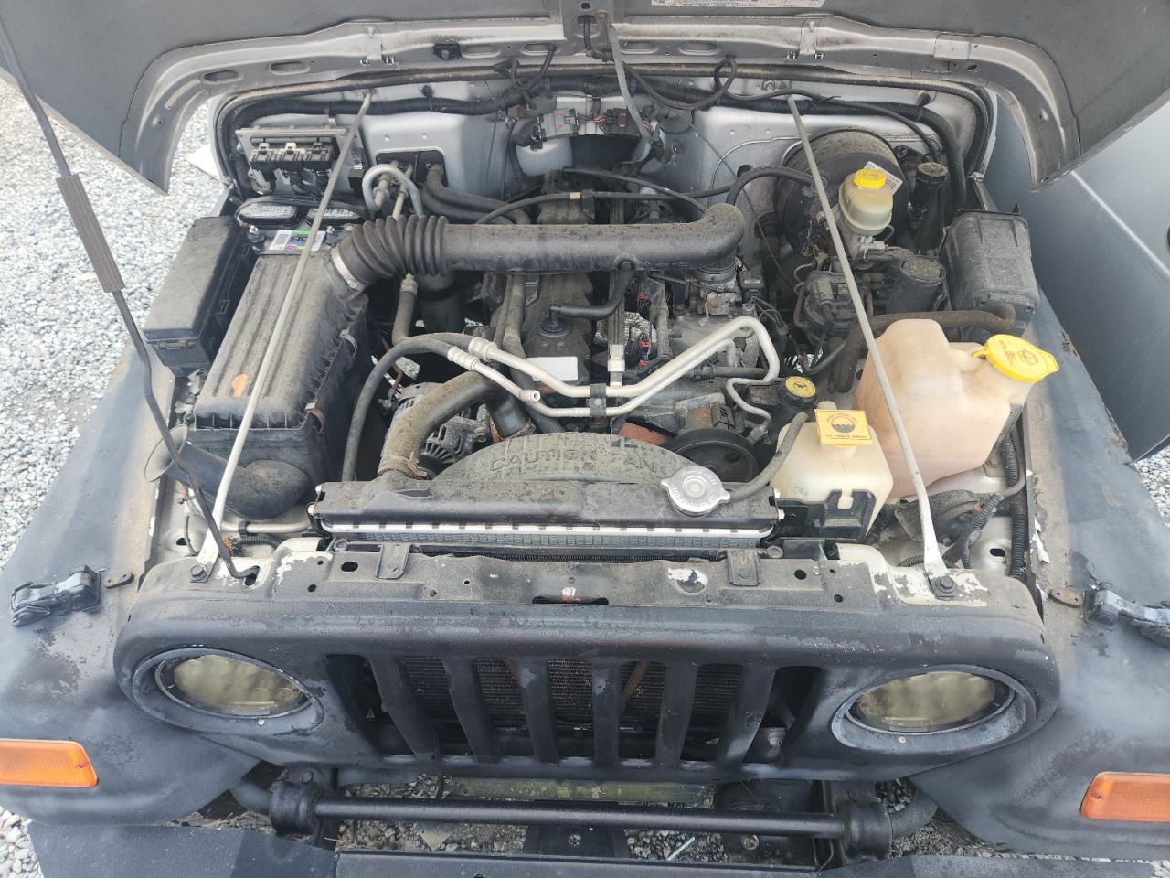 2002 Jeep Wrangler / Tj X VIN: 1J4FA39S72P748214 Lot: 84424725