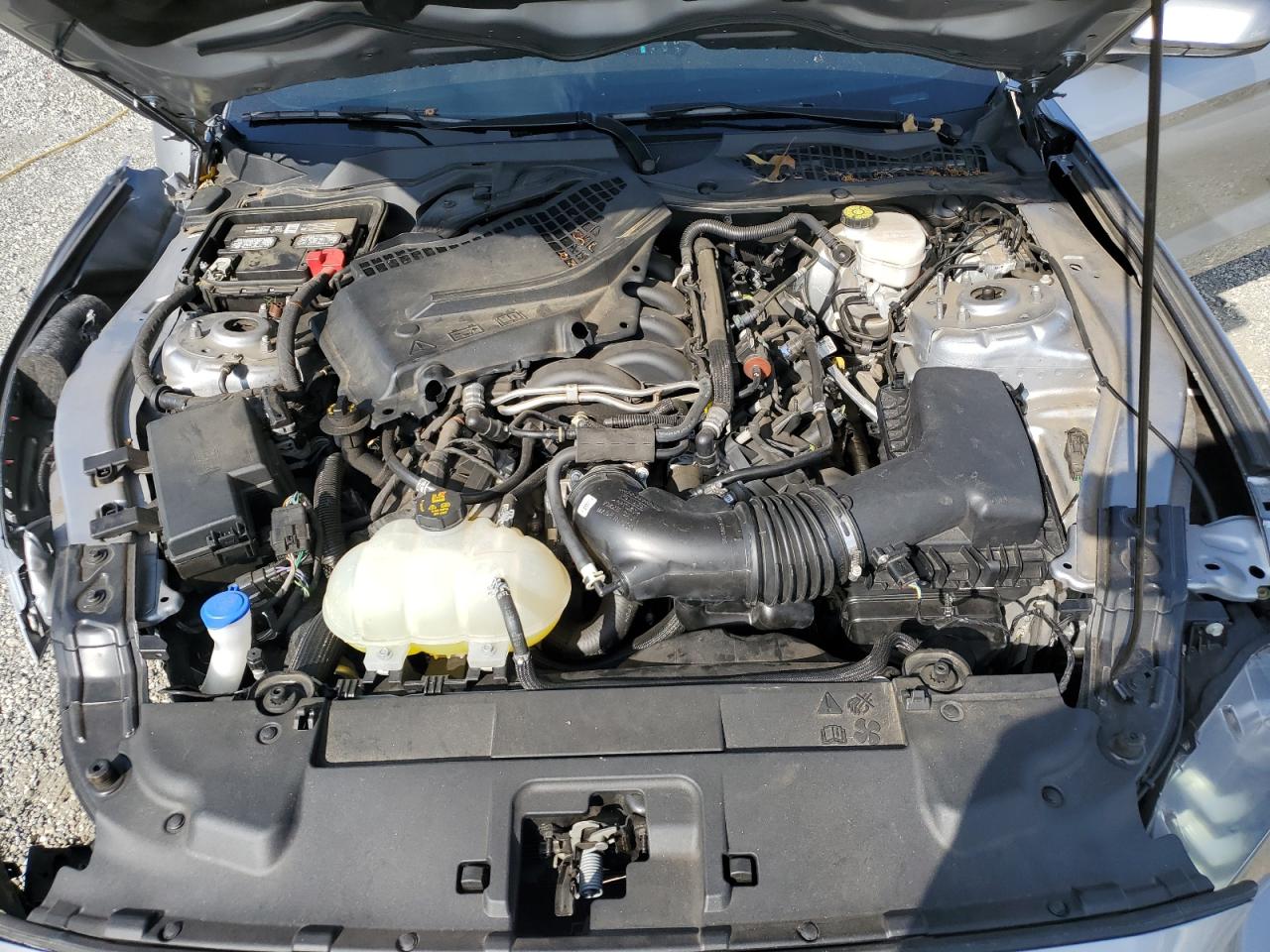 2021 Ford Mustang Gt VIN: 1FA6P8CF4M5138322 Lot: 80683095