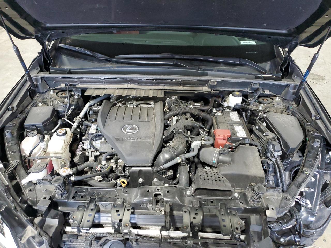 2024 Lexus Nx 350 Premium VIN: 2T2GGCEZ2RC059326 Lot: 80650175