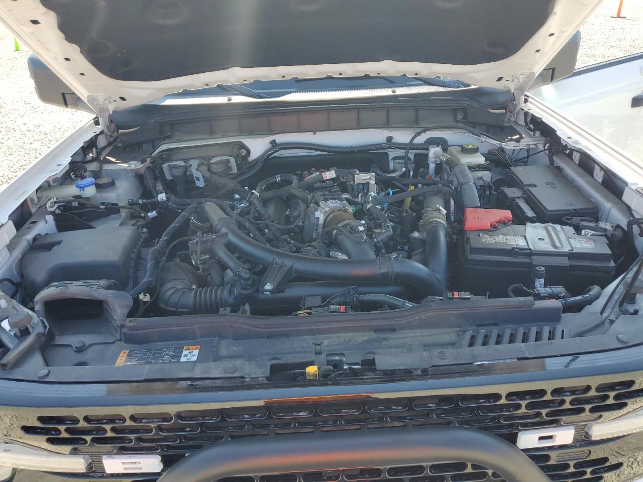 2023 Ford Bronco Base VIN: 1FMEE5DP2PLB31155 Lot: 69655855