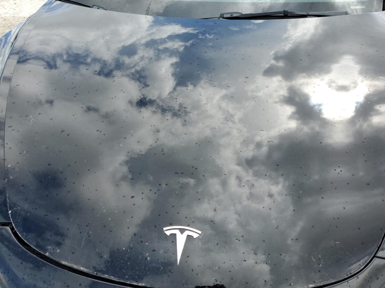 2023 Tesla Model 3 VIN: 5YJ3E1EAXPF452605 Lot: 81019345