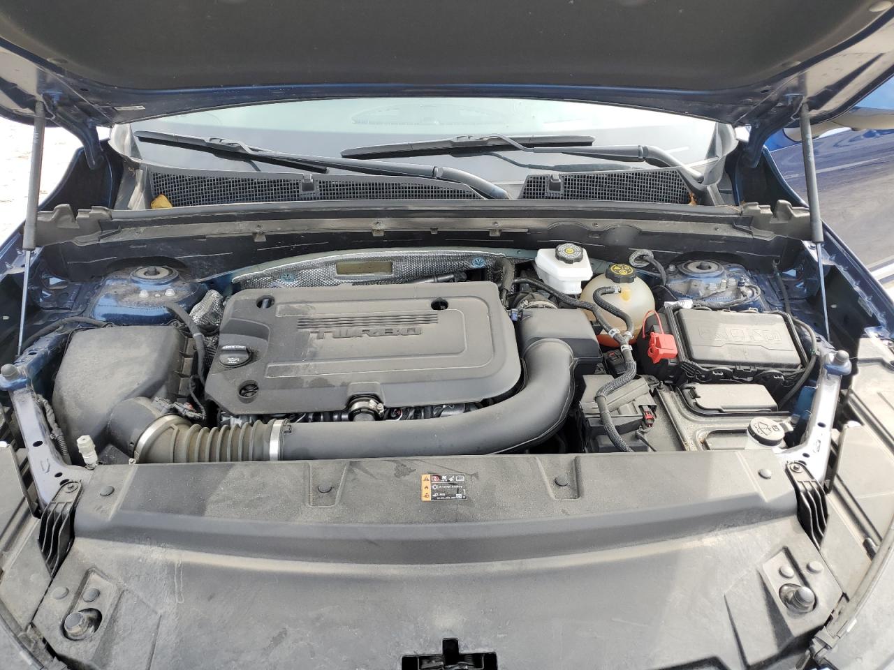 2023 Buick Envision Avenir VIN: LRBFZRR44PD042084 Lot: 81757565