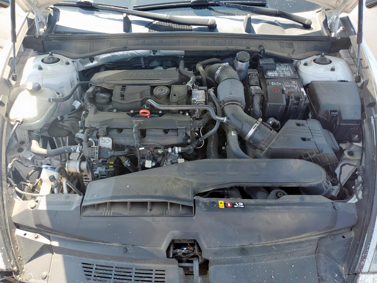 2020 Hyundai Sonata Sel Plus VIN: 5NPEJ4J24LH024223 Lot: 71616035