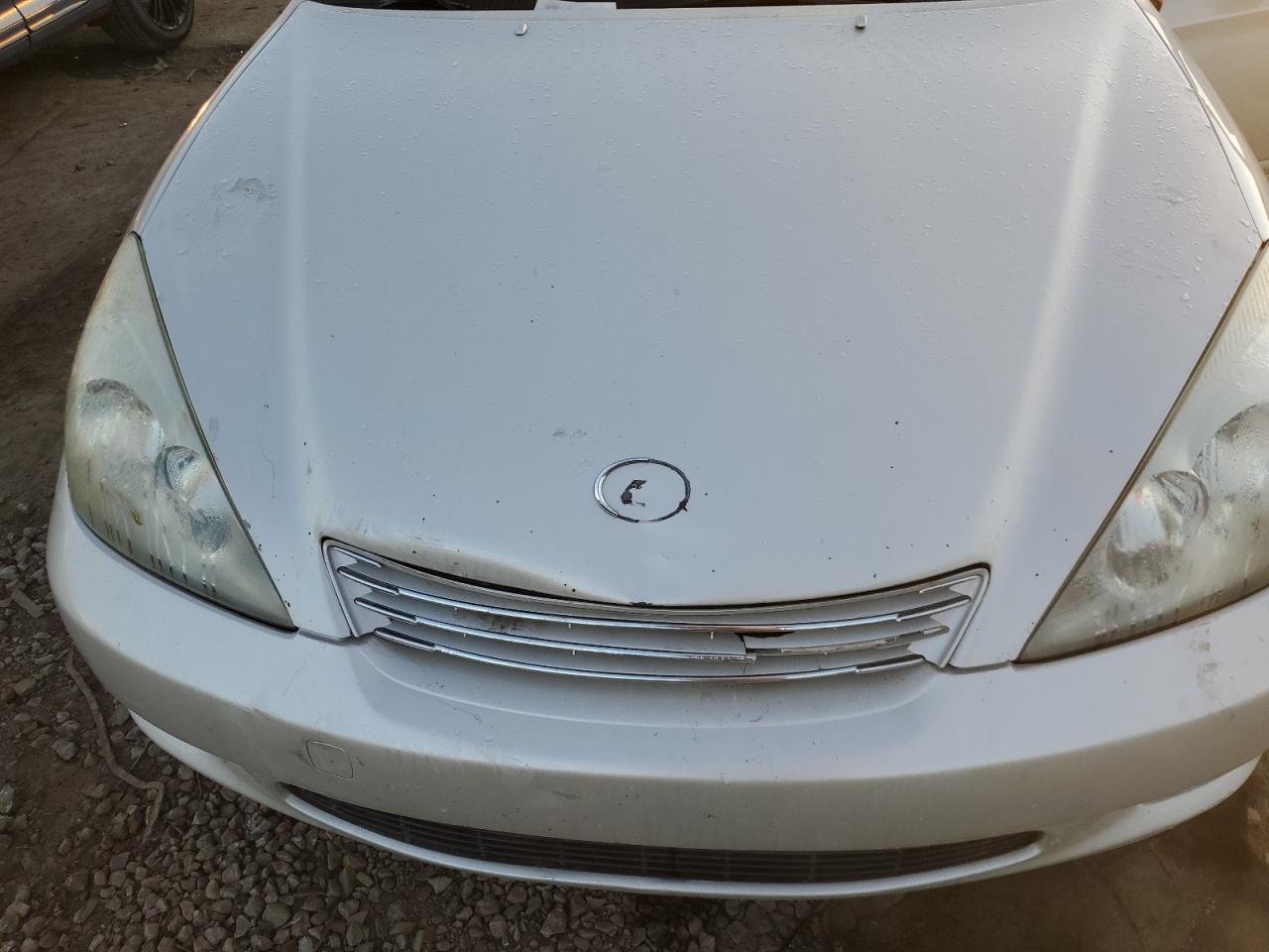 2004 Lexus Es 330 VIN: JTHBA30G345030606 Lot: 84189575