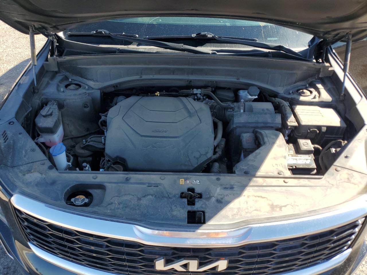 2022 Kia Telluride Ex VIN: 5XYP34HC8NG220113 Lot: 82064445