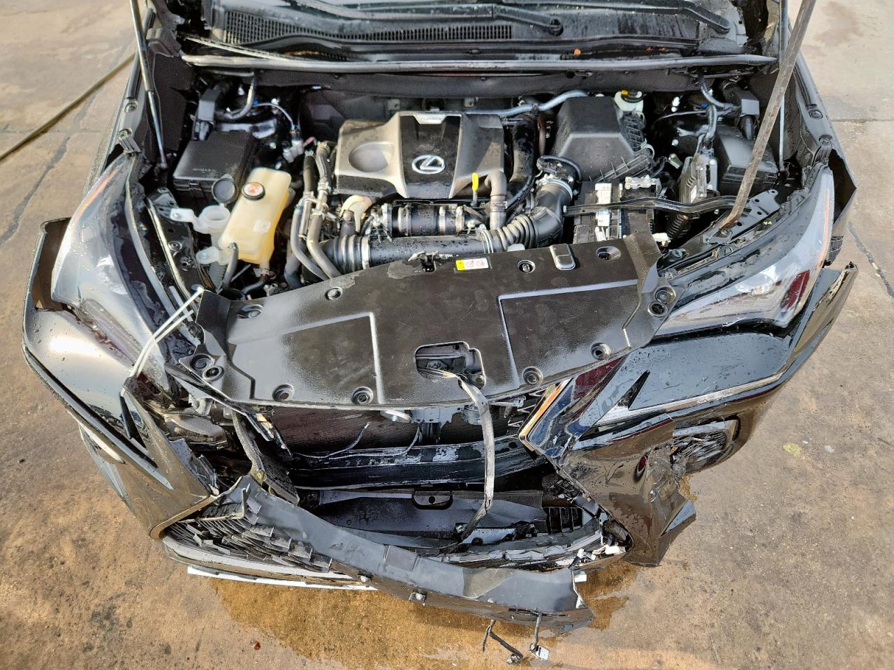 2021 Lexus Nx 300 Base VIN: JTJSARBZ9M2195318 Lot: 70959925