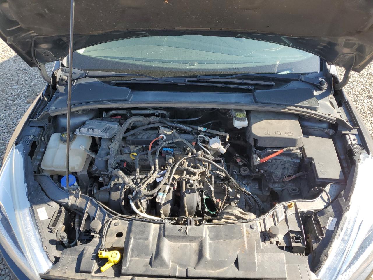 2018 Ford Focus Se VIN: 1FADP3K21JL287464 Lot: 81330765