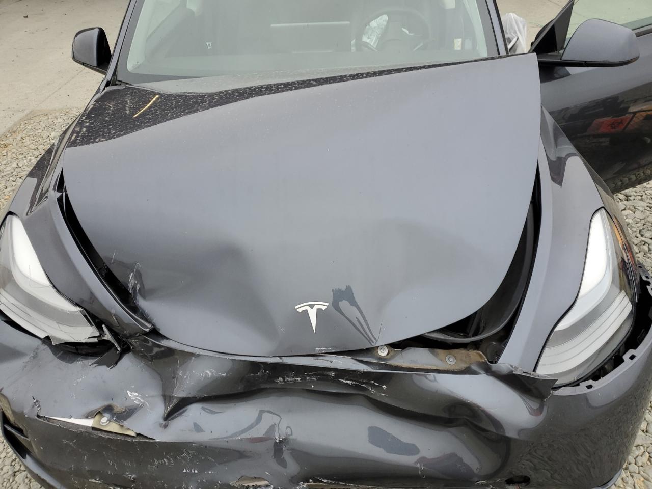 2023 Tesla Model Y VIN: 7SAYGDEE6PF648726 Lot: 71992925