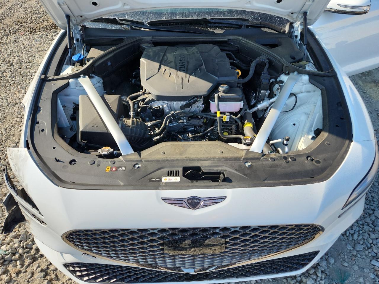 2025 Genesis G70 Base VIN: KMTG34SC6SU147456 Lot: 81377055