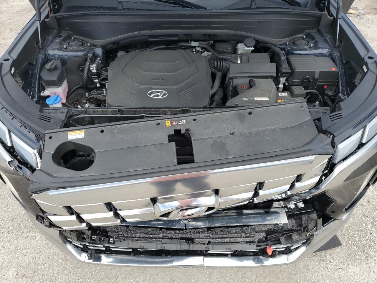 2024 Hyundai Palisade Calligraphy VIN: KM8R7DGE0RU754917 Lot: 81896905