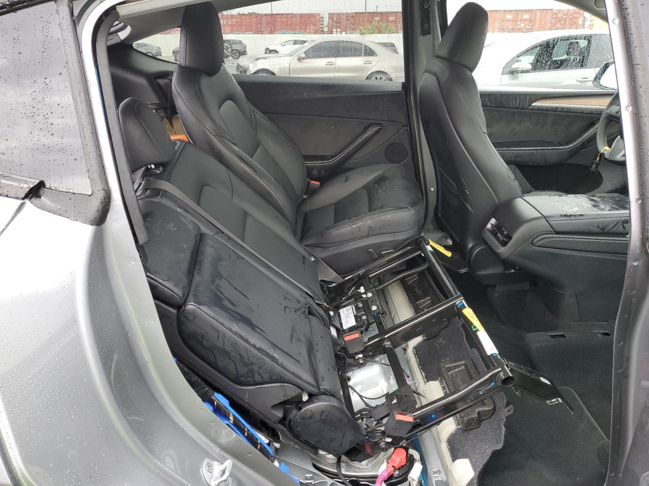 2024 Tesla Model Y VIN: 7SAYGDEDXRA319132 Lot: 81122455