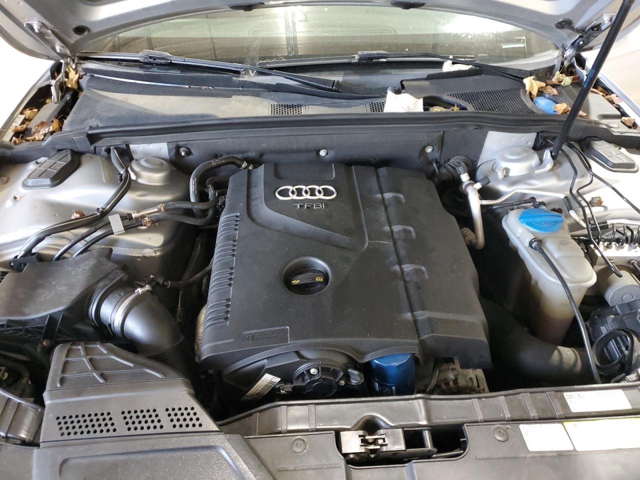 2015 Audi A4 Premium Plus VIN: WAUFFAFL5FN033567 Lot: 71989165