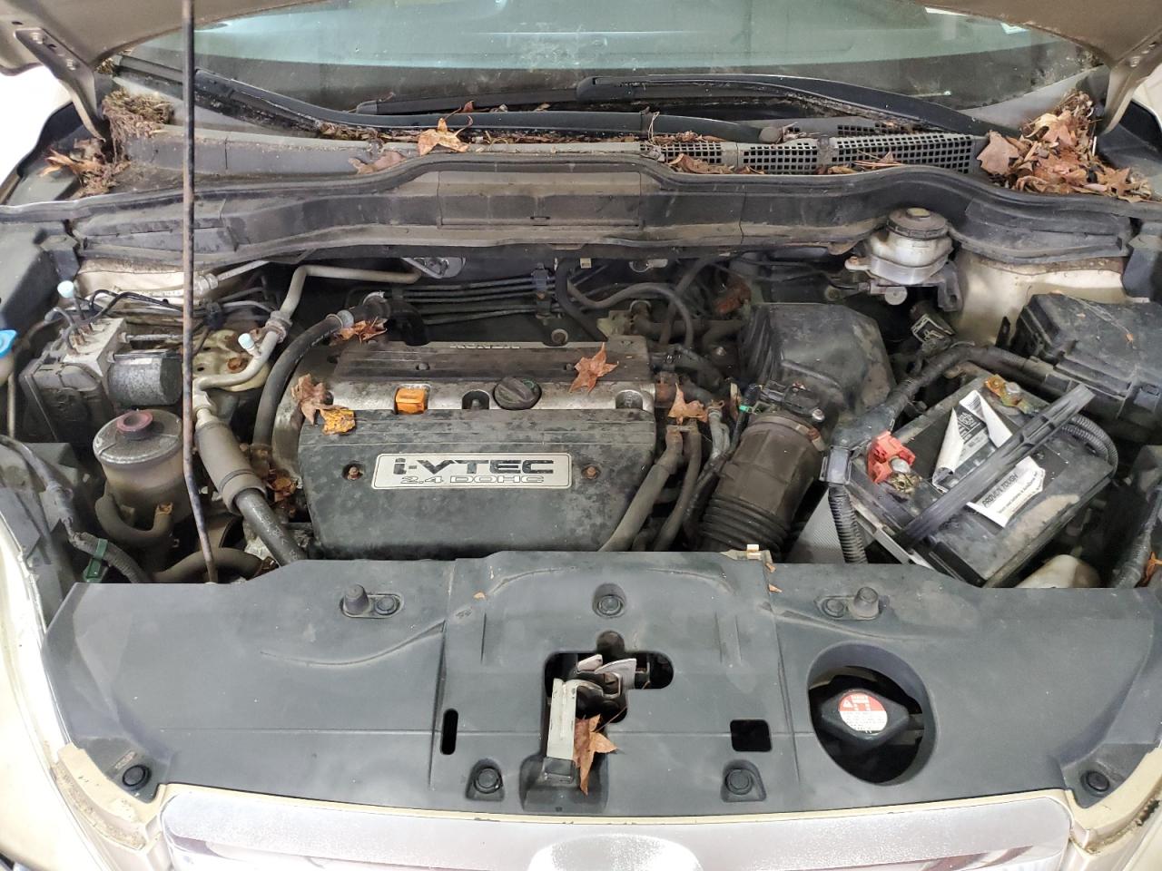 2009 Honda Cr-V Ex VIN: 5J6RE48589L063529 Lot: 84026815