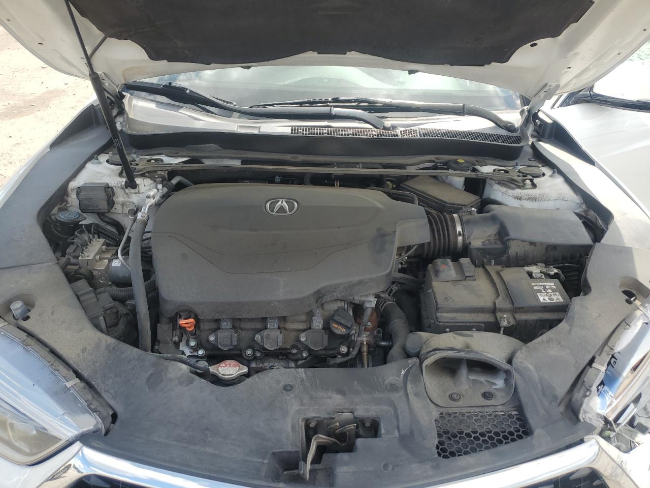 2019 Acura Tlx Technology VIN: 19UUB2F44KA008571 Lot: 80575105