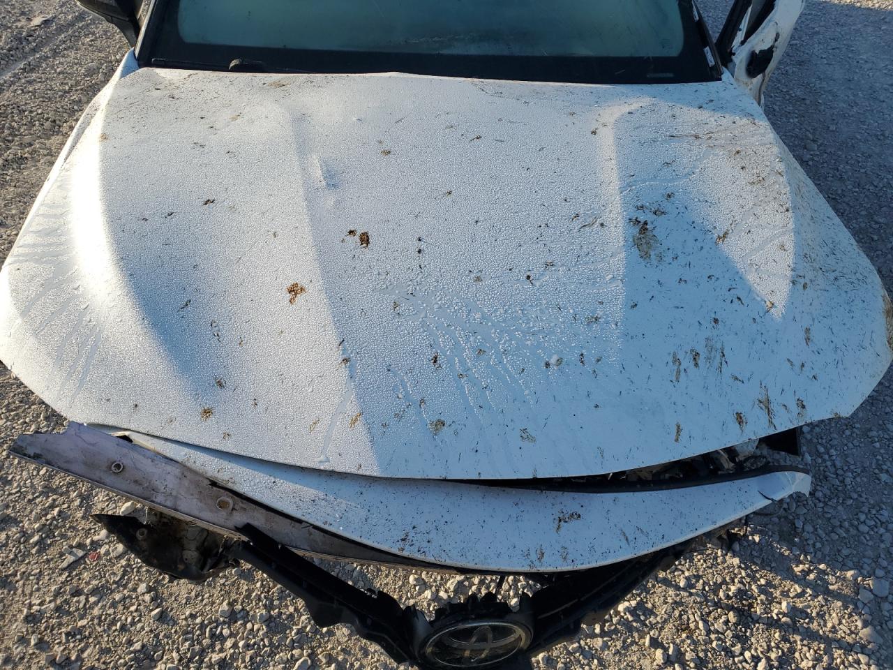 2023 Toyota Camry Trd VIN: 4T1KZ1AK9PU081261 Lot: 84042635