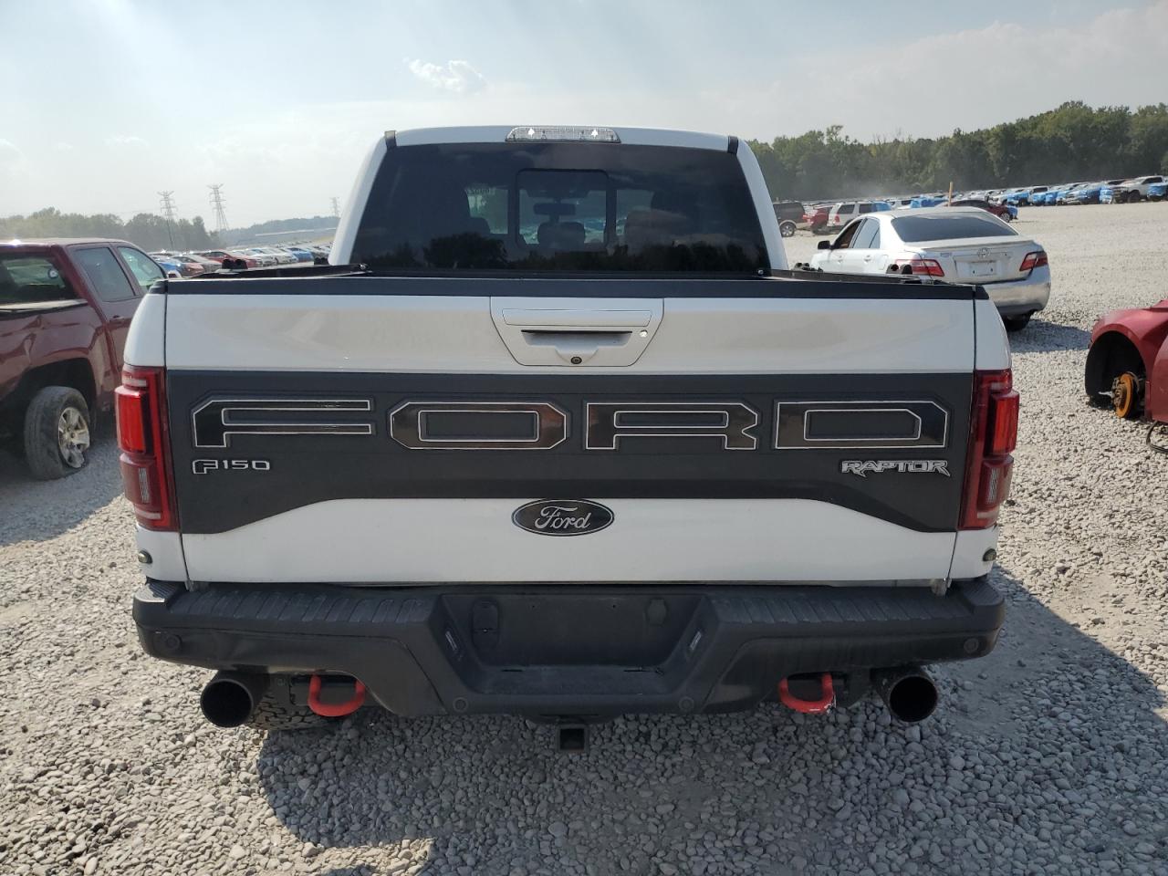 2019 Ford F150 Raptor VIN: 1FTFW1RG8KFC29346 Lot: 80527095