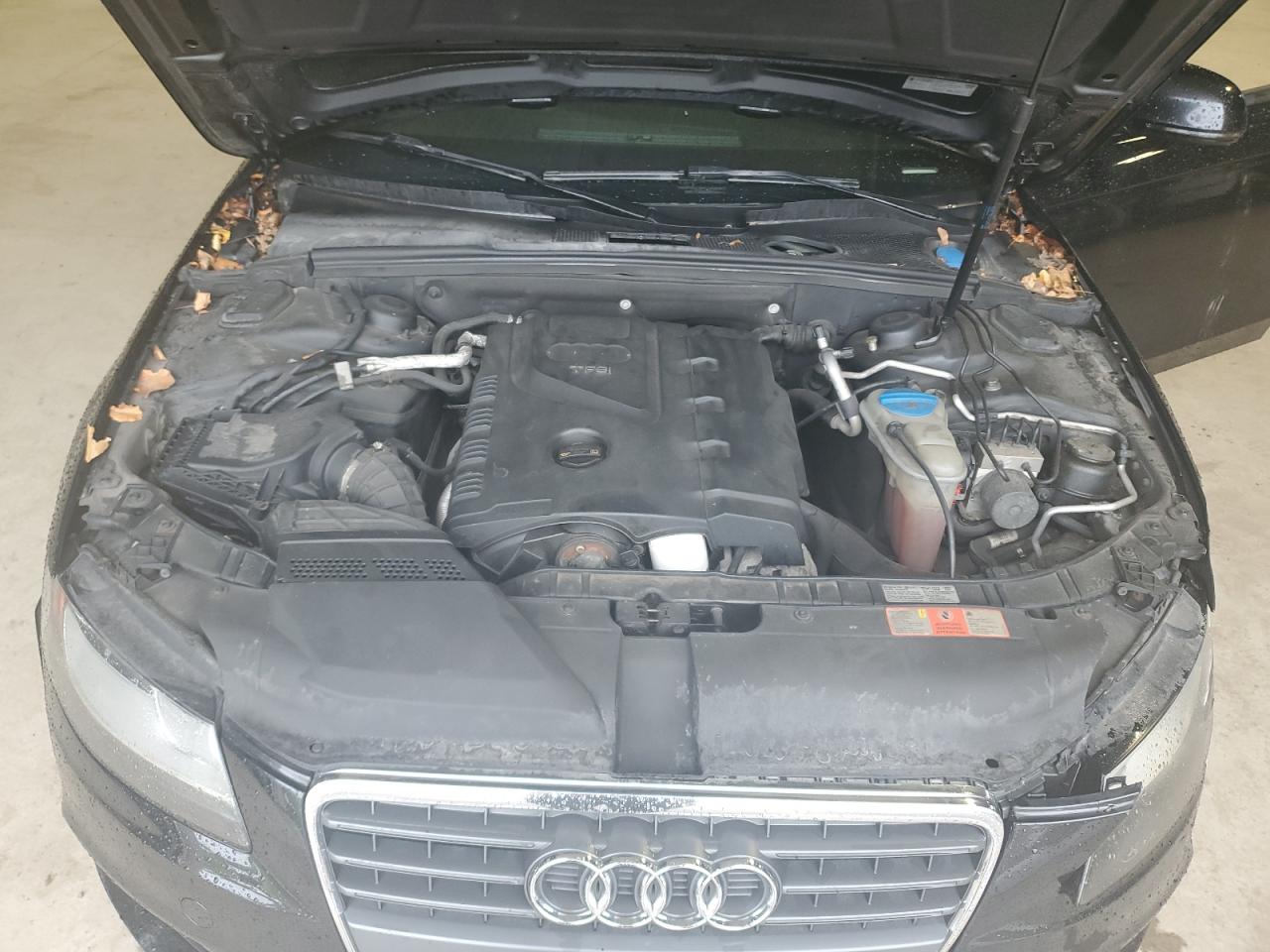 2009 Audi A4 Premium Plus VIN: WAUJF58K09N070195 Lot: 81387065