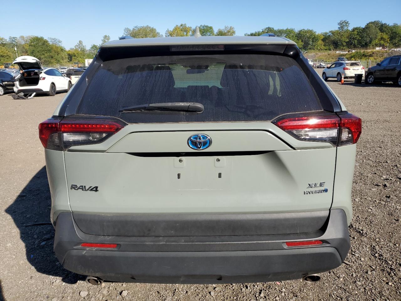 2021 Toyota Rav4 Xle VIN: 4T3R6RFV0MU008484 Lot: 80996815