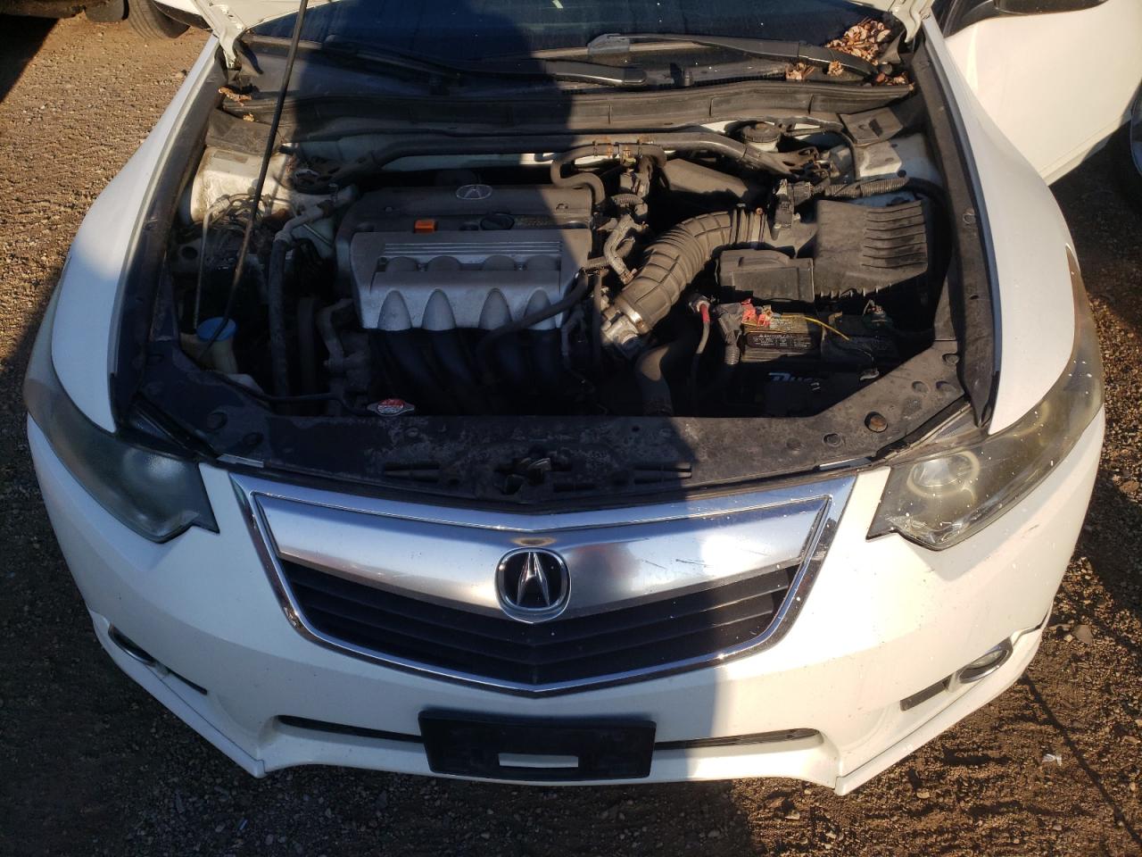 2012 Acura Tsx Se VIN: JH4CU2F83CC007455 Lot: 71473665