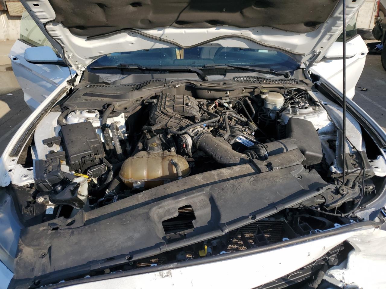 2015 Ford Mustang VIN: 1FA6P8AM4F5378104 Lot: 80990295