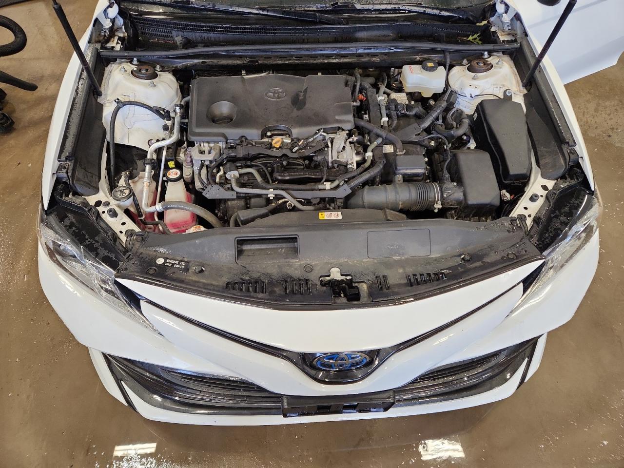 2019 Toyota Camry Le VIN: 4T1B31HK3KU006491 Lot: 81571085