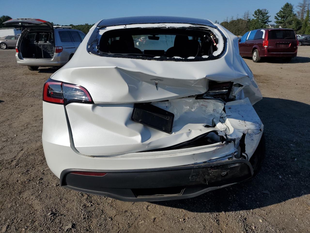 2025 Tesla Model Y VIN: 7SAYGDED9SF239300 Lot: 71041435