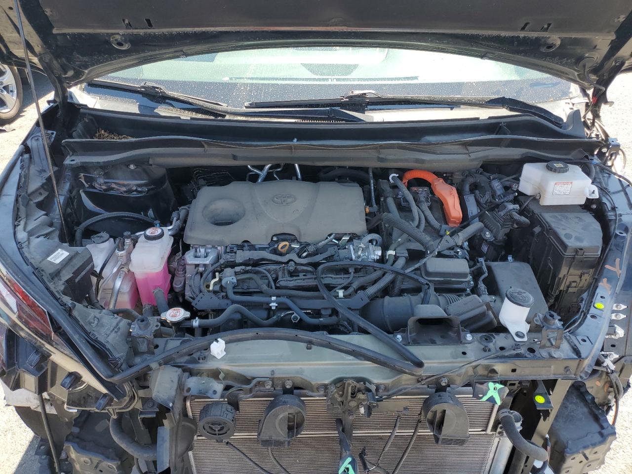 2022 Toyota Sienna Xle VIN: 5TDASKFC0NS057881 Lot: 71930875