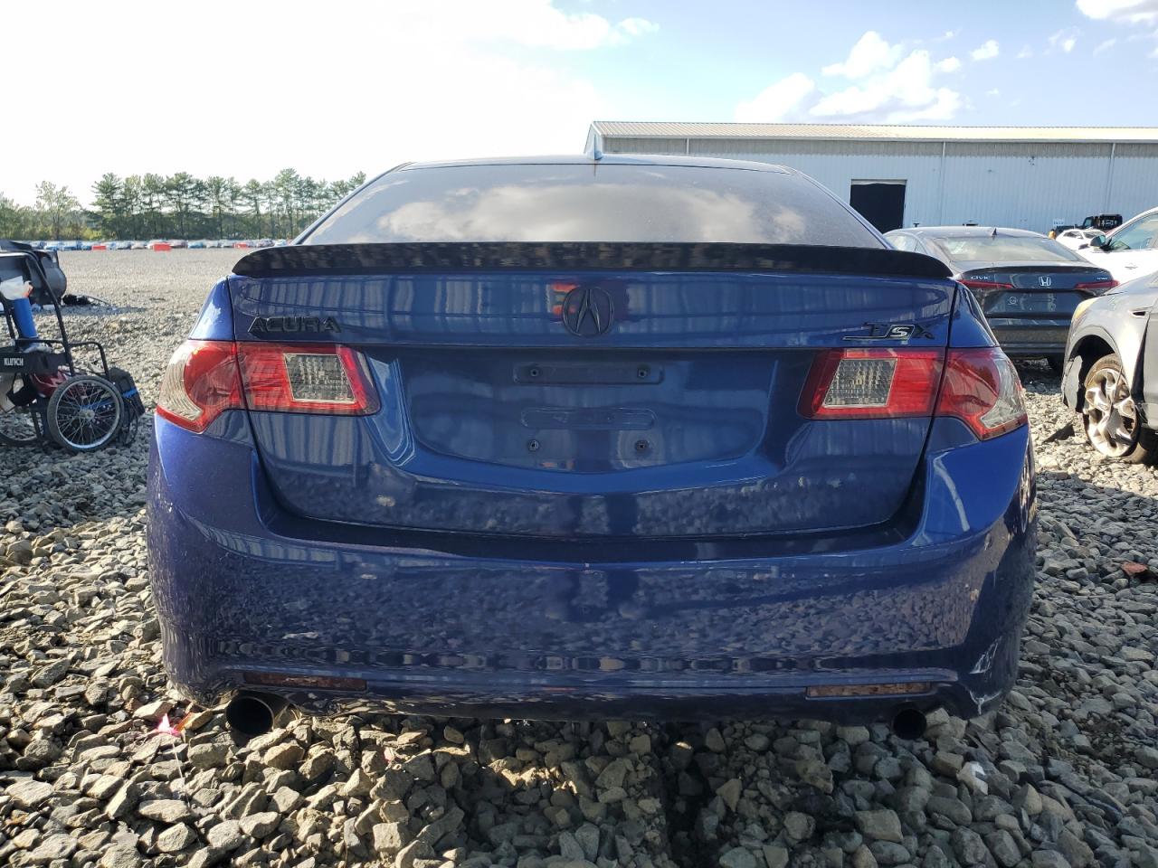 2009 Acura Tsx VIN: JH4CU26689C011380 Lot: 81037485