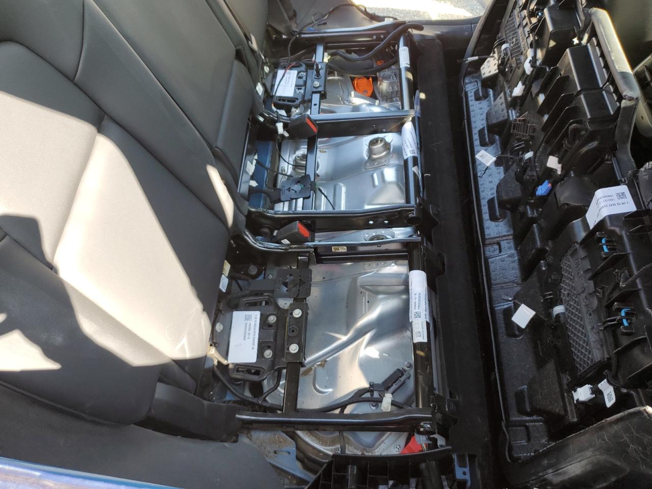 2022 Tesla Model Y VIN: 7SAYGDEE7NF369556 Lot: 81505295