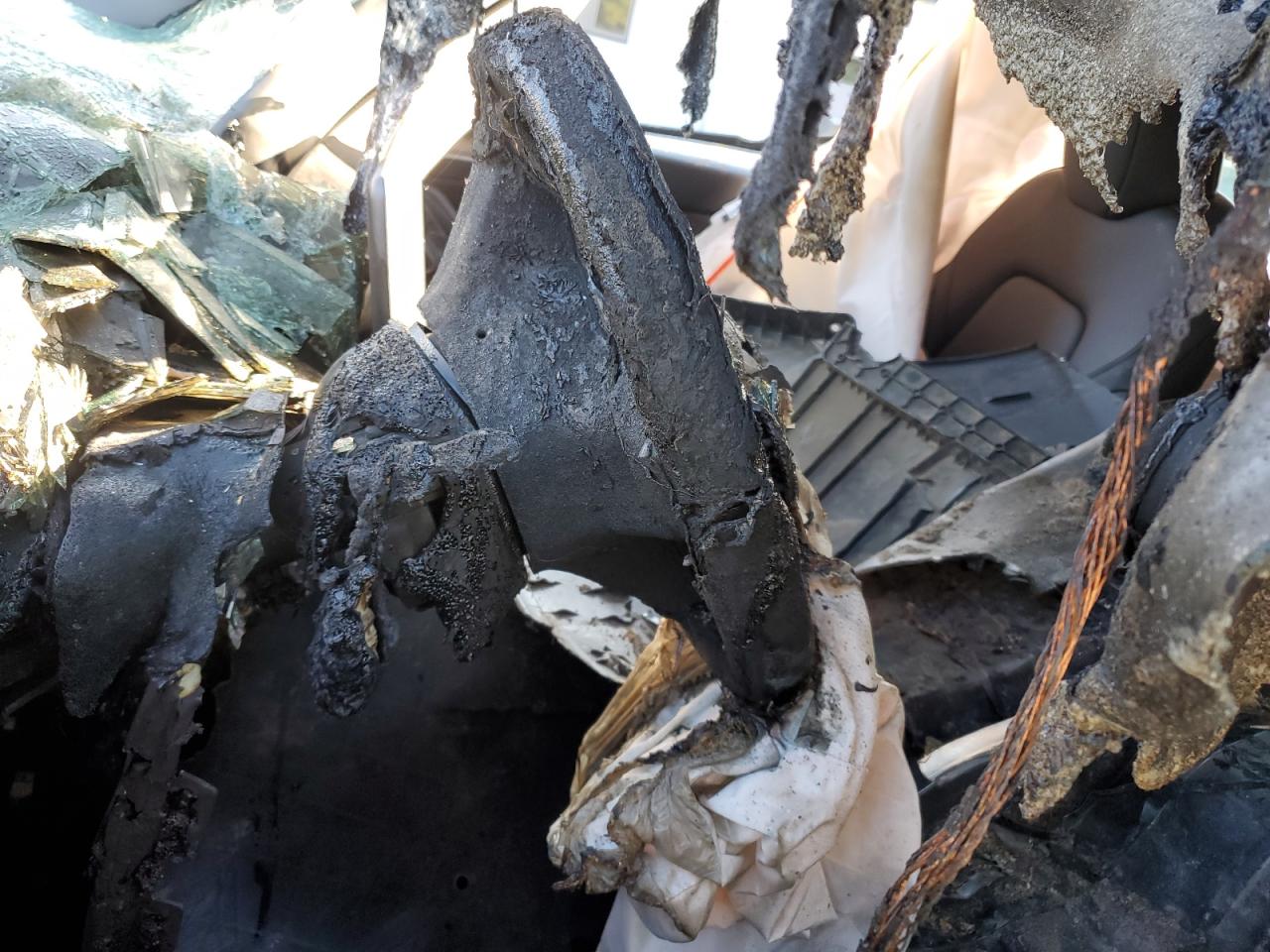 2025 Tesla Model Y VIN: 7SAYGDEE4SF289613 Lot: 81263555