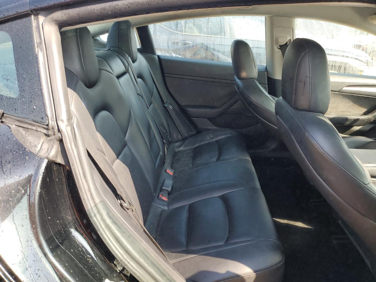2022 Tesla Model 3 VIN: 5YJ3E1EA0NF371464 Lot: 81517995