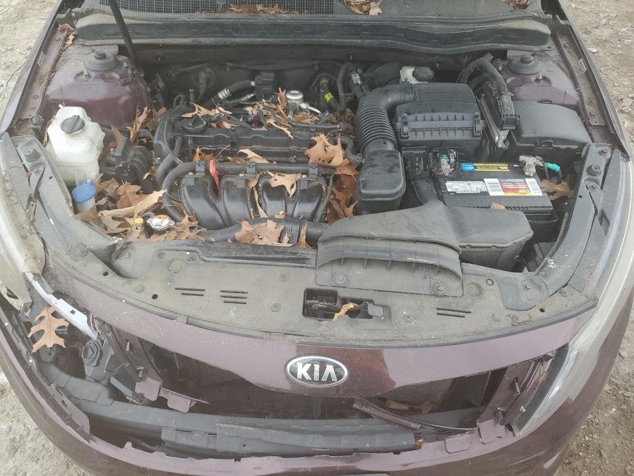 2015 Kia Optima Lx VIN: 5XXGM4A7XFG430793 Lot: 81929255