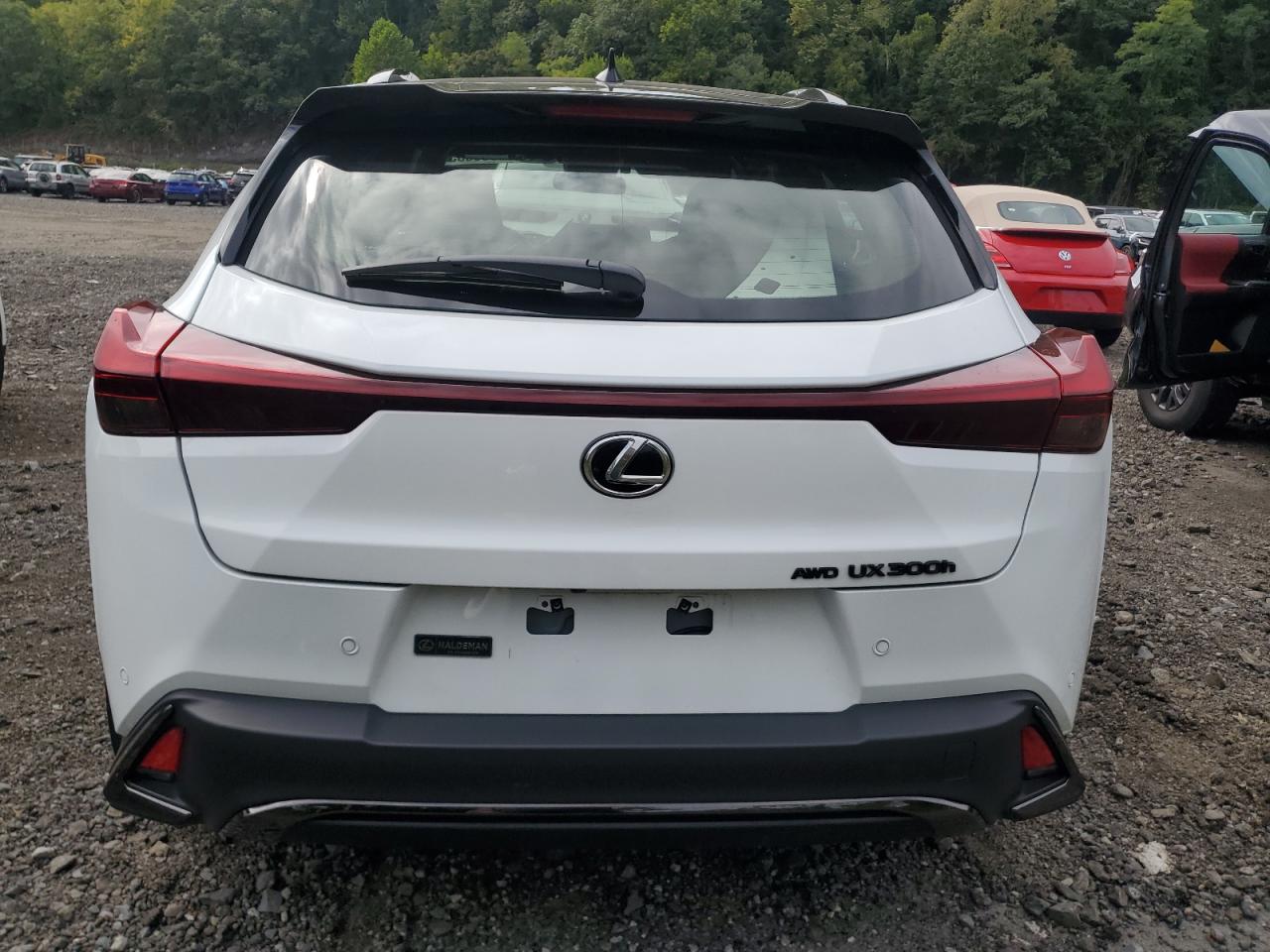 2025 Lexus Ux 300H Base VIN: JTHUCJDHXS2007901 Lot: 80366635
