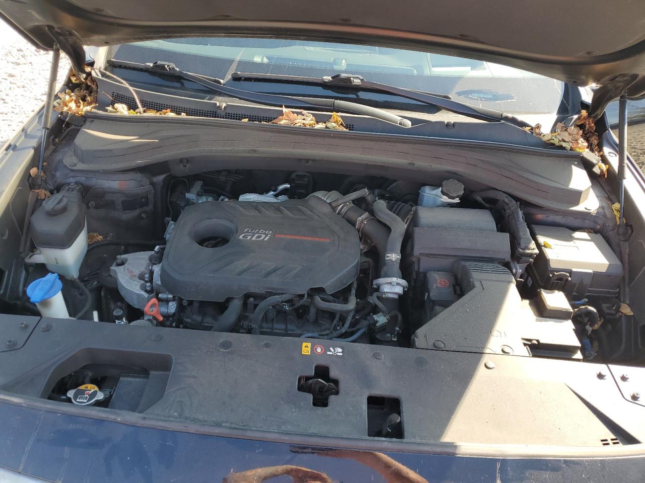 2019 Hyundai Santa Fe Limited VIN: 5NMS5CAA8KH031616 Lot: 81957685