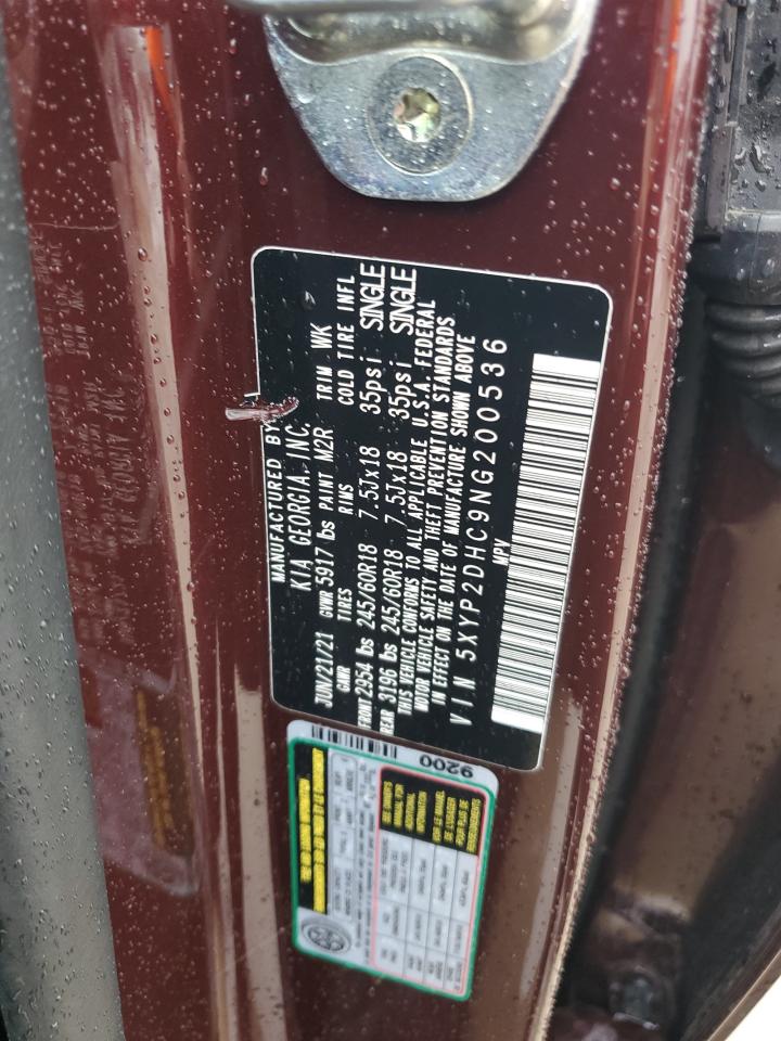 2022 Kia Telluride Lx VIN: 5XYP2DHC9NG200536 Lot: 81608745