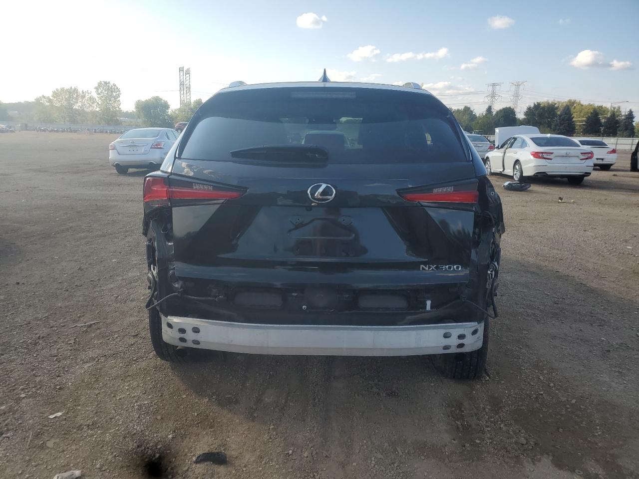 2018 Lexus Nx 300 Base VIN: JTJBARBZ1J2162079 Lot: 82080805