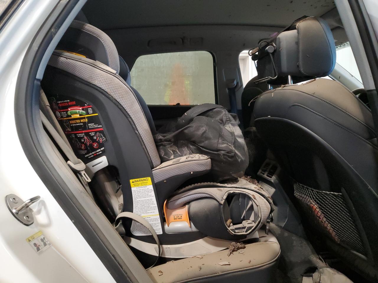 2024 Audi Q5 Premium Plus 45 VIN: WA1EAAFY5R2035571 Lot: 69815695