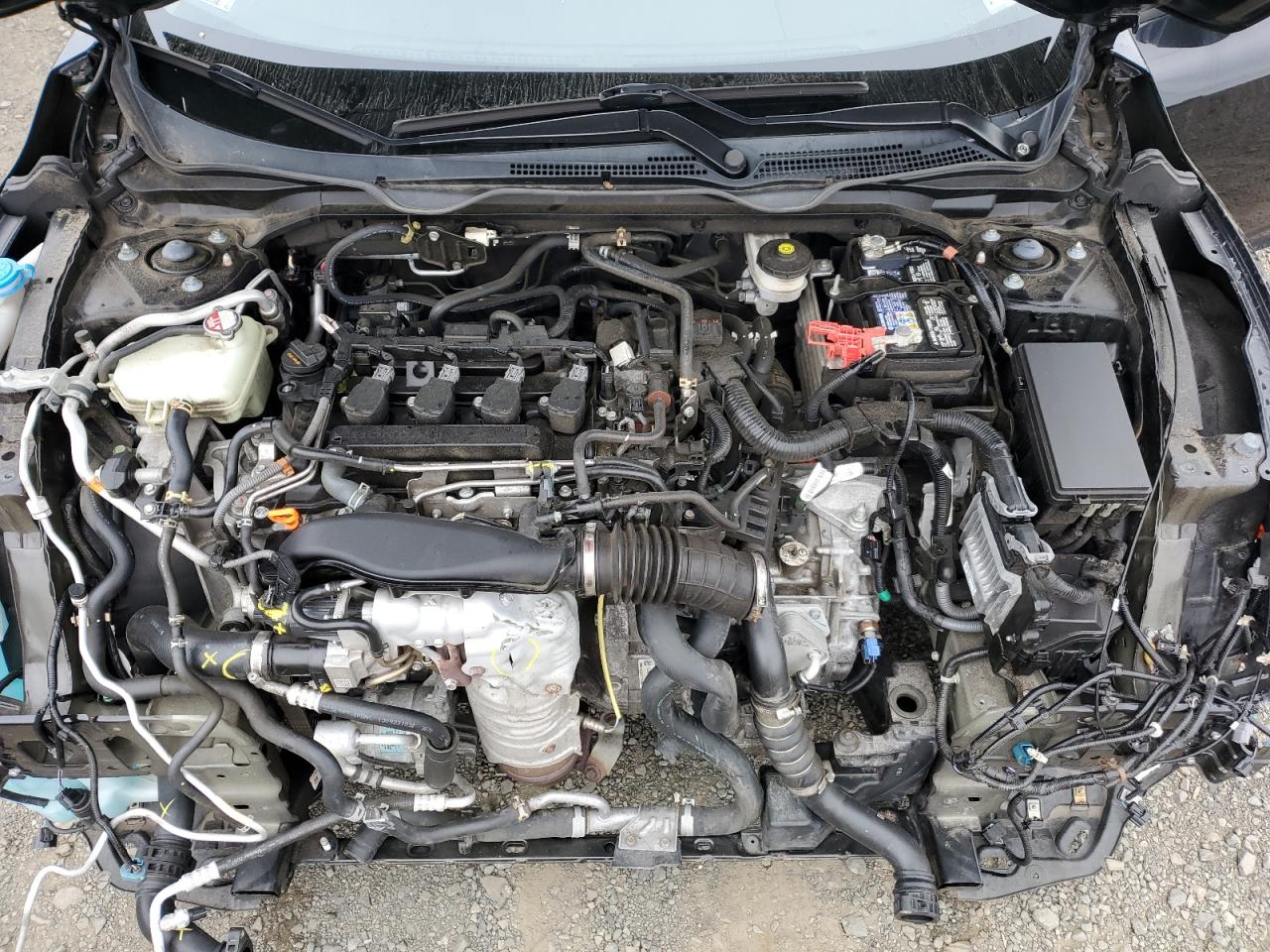 2020 Honda Civic Ex VIN: 19XFC1F36LE219212 Lot: 81263915