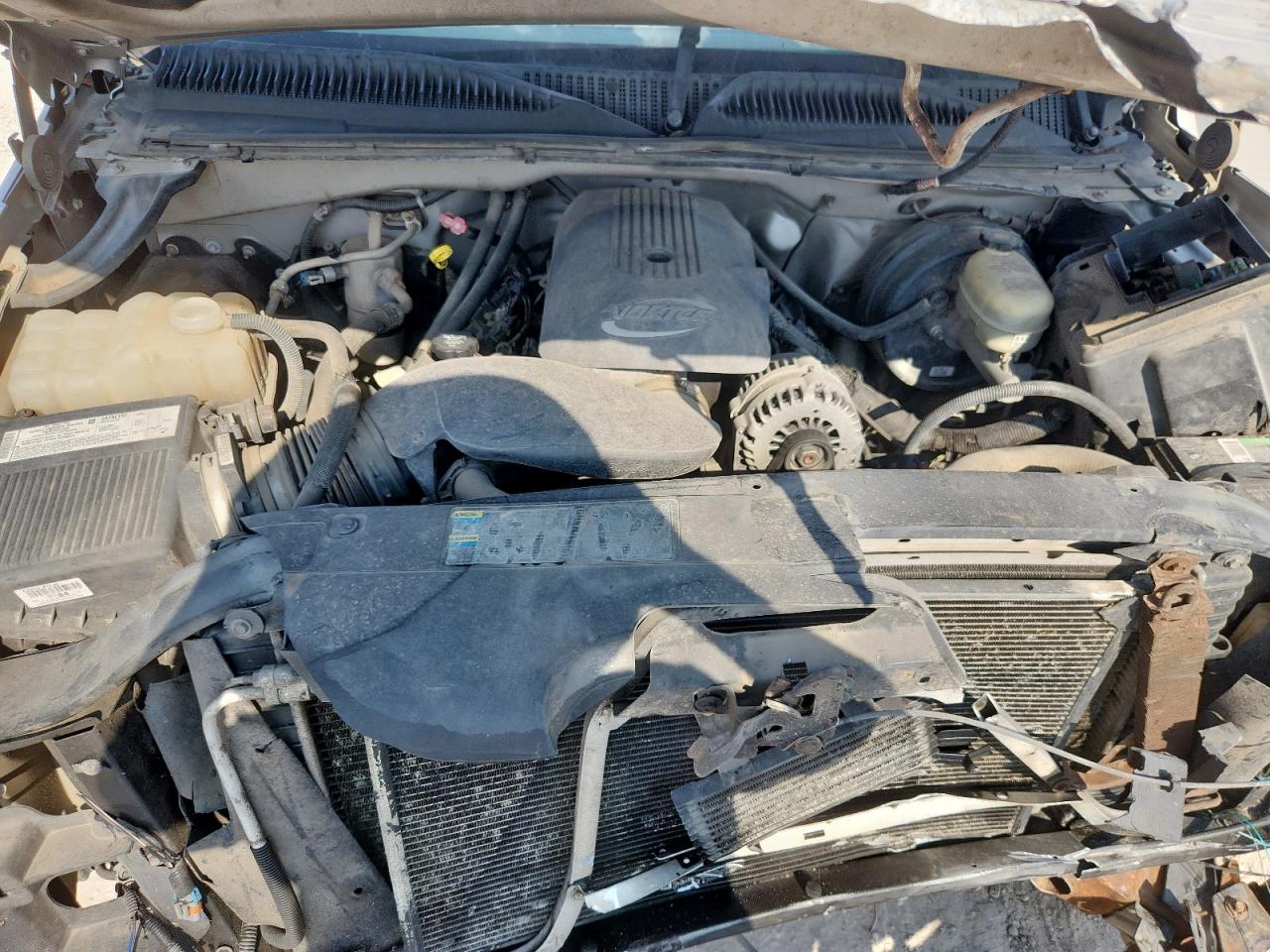 2006 Chevrolet Silverado C1500 VIN: 1GCEC19Z36Z256223 Lot: 81041005