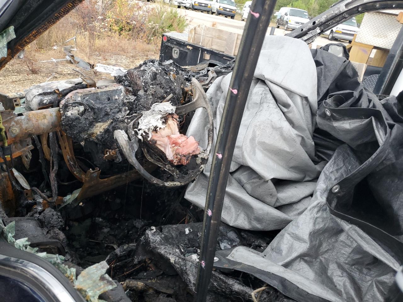 2020 Ford F250 Super Duty VIN: 1FT7W2BT0LED12200 Lot: 83763185