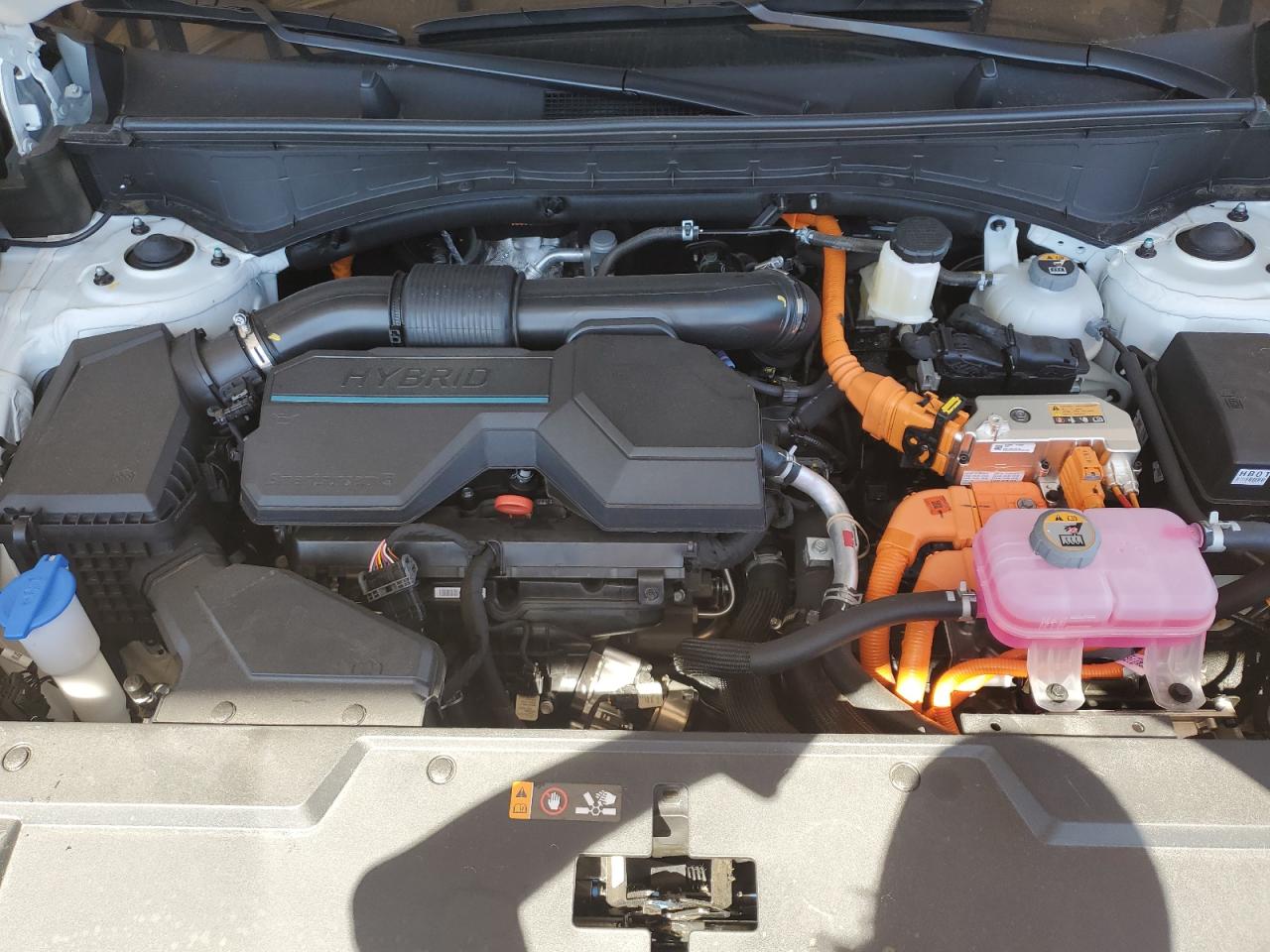 2025 Hyundai Santa Fe Calligraphy VIN: 5NMP5DG12SH050066 Lot: 81939045