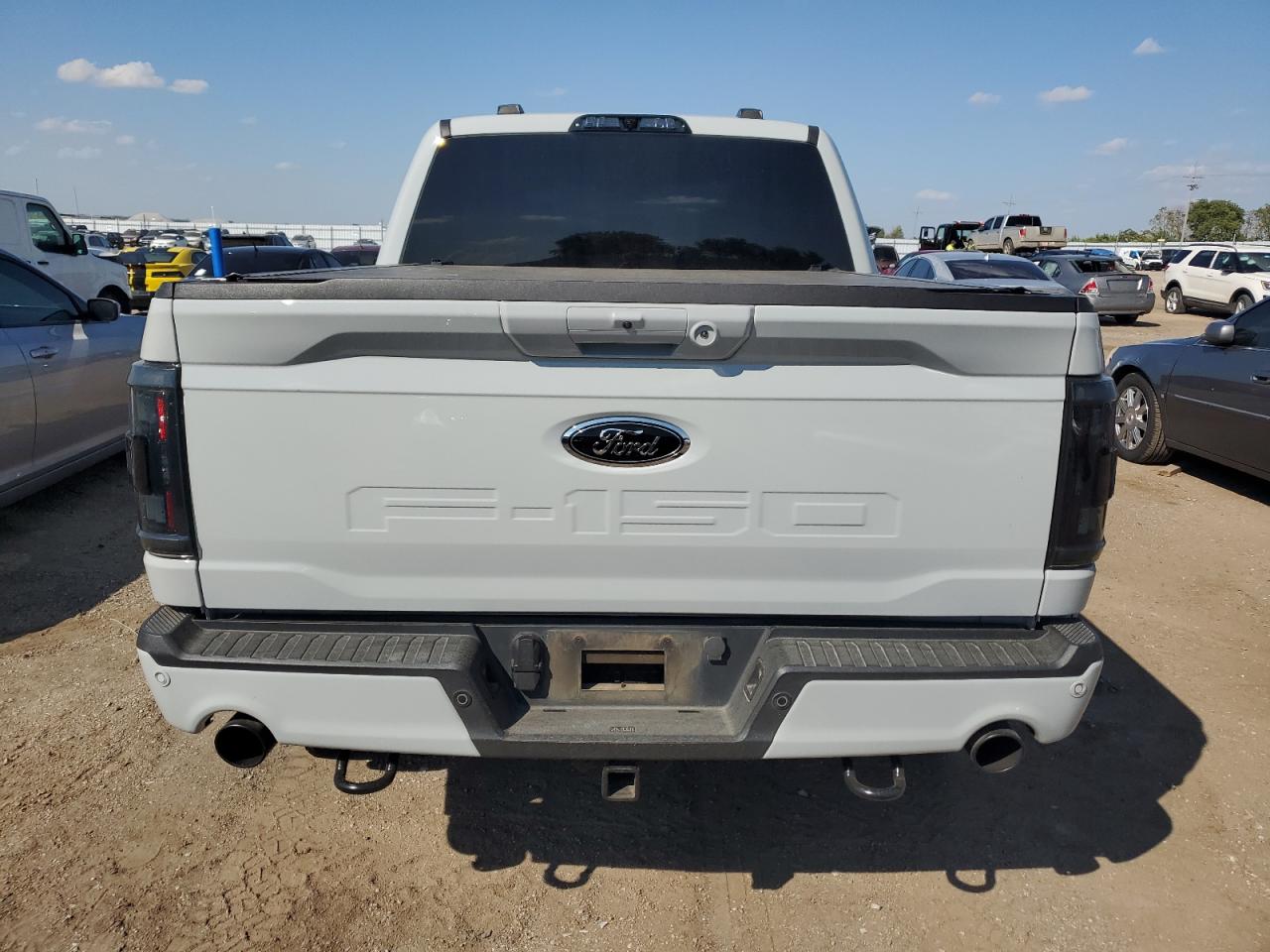 2023 Ford F150 Supercrew VIN: 1FTFW1E5XPFA53184 Lot: 80246565